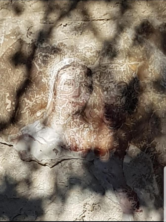 Chambre D'Hote Geiko Cabrieres-d'Aigues Luaran gambar